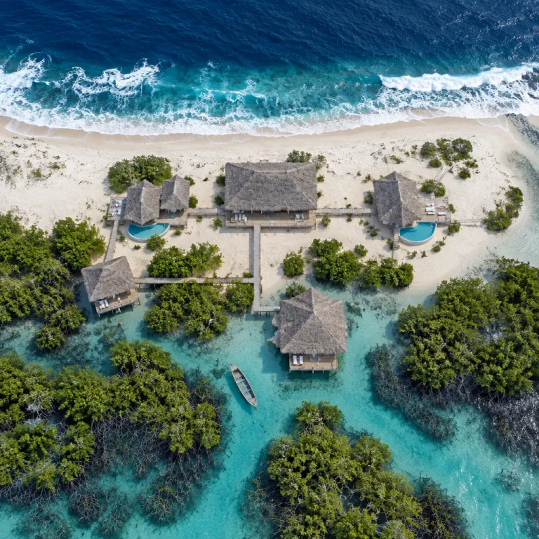 The architecture of barefoot luxury: how Mozambique's lodges build with makuti, mangrove and light